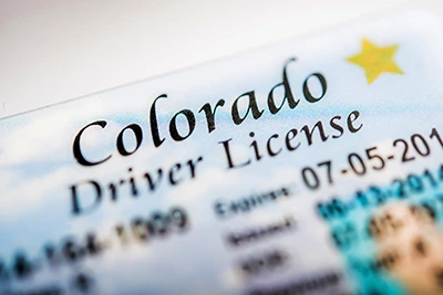 Driver's license