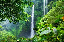 Bali Sekumpul waterfall